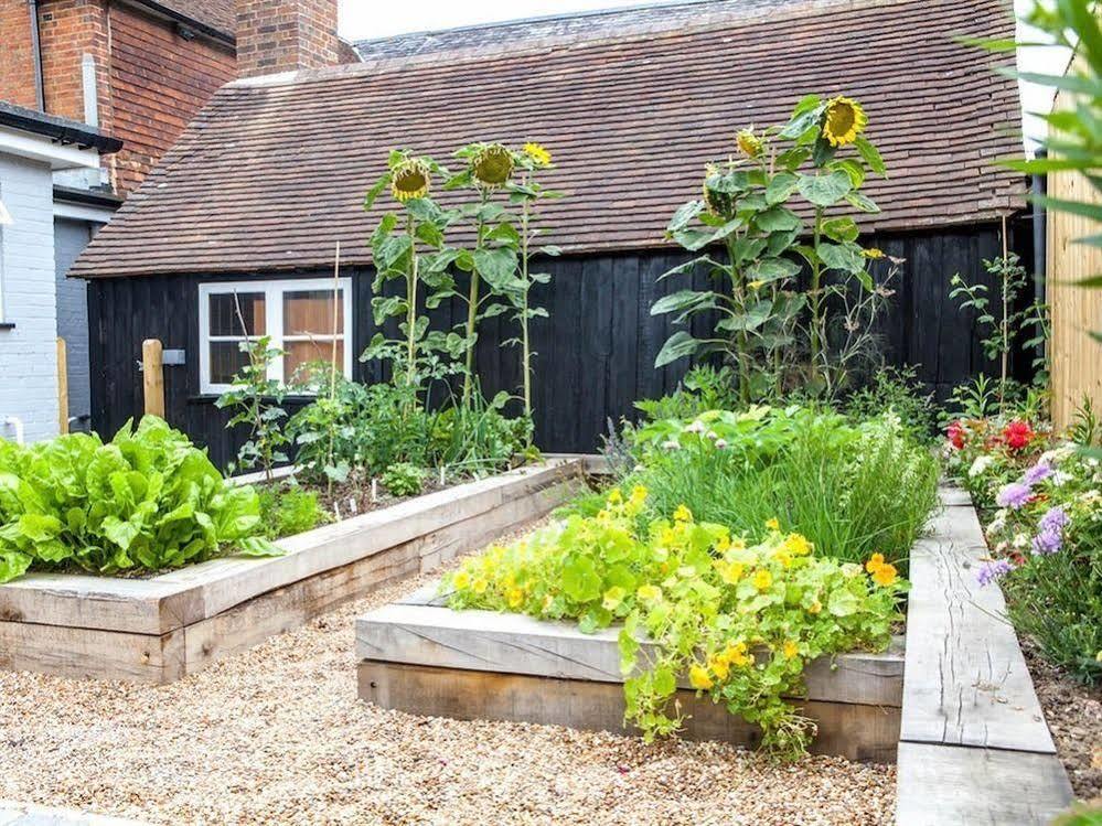 فندق The Horse & Cart Peasmarsh المظهر الخارجي الصورة